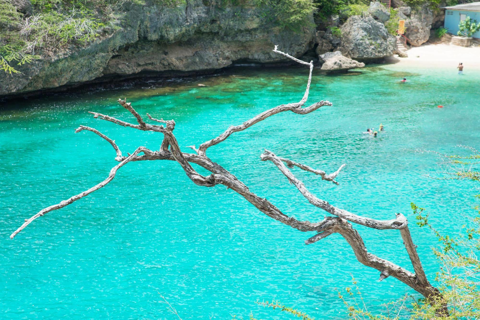 Lagun Blou Dive And Beach Resort ภายนอก รูปภาพ